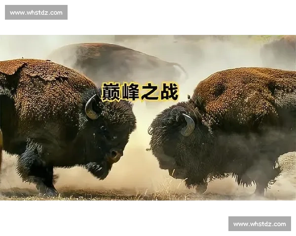 瓜达拉战美洲狮：生存智慧与力量的巅峰较量揭秘